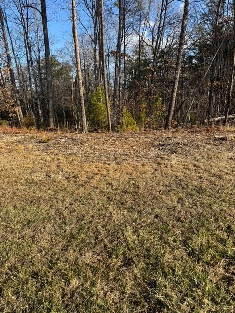 0 Jones Mill Lane - Photo 9