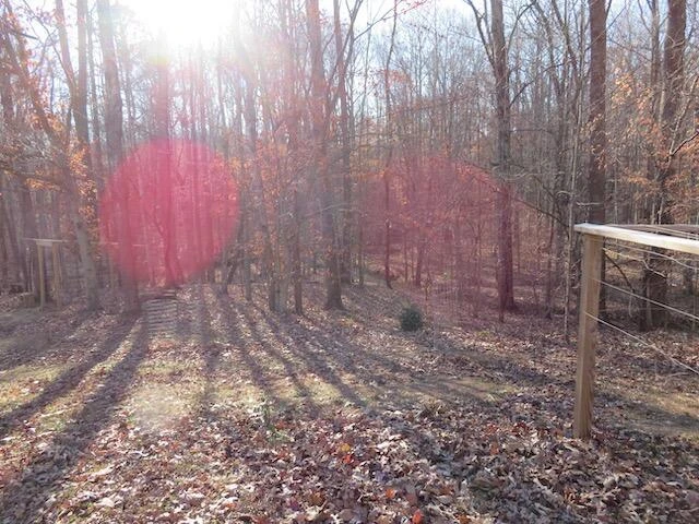 715 Mountain Meadow DR - Photo 20