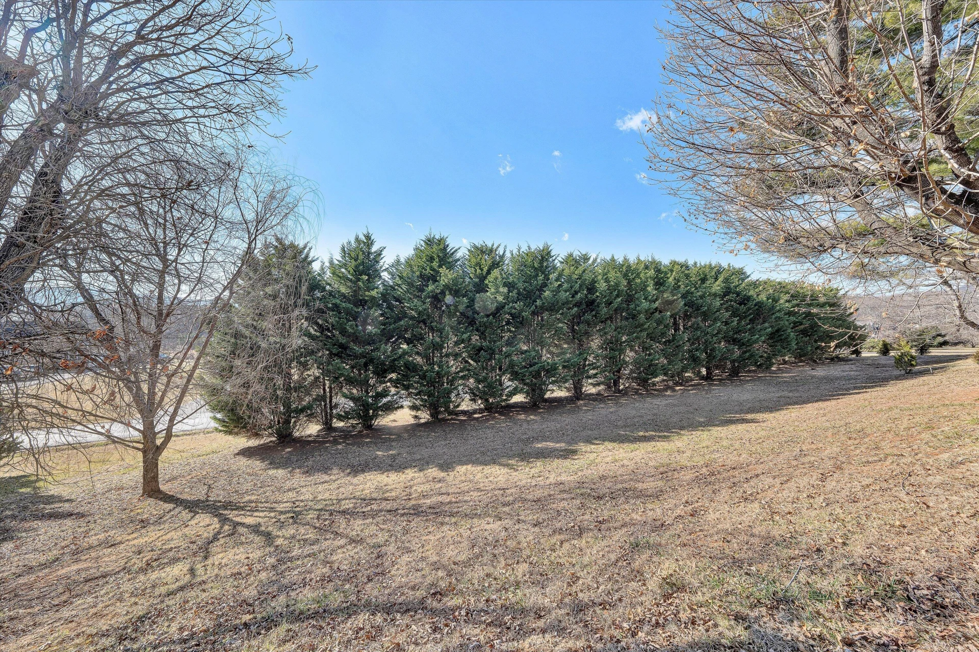 1944 Blue Ridge Springs RD - Photo 47