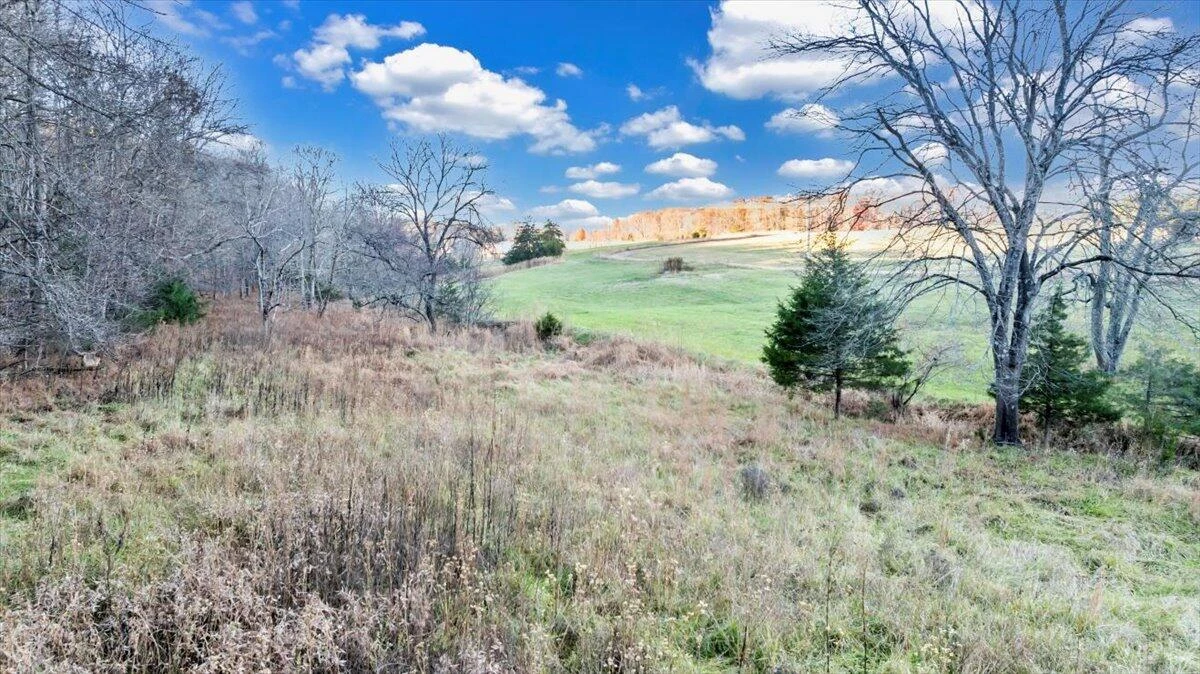 1962 McDaniel Rd RD - Photo 122