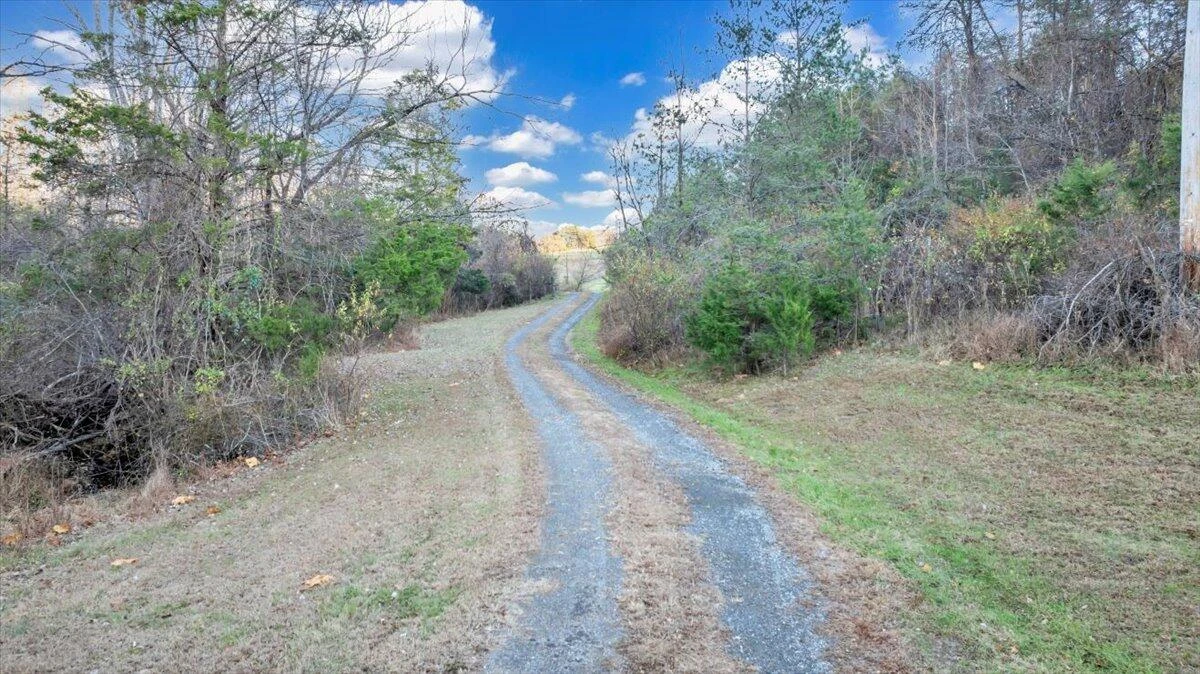 1962 McDaniel Rd RD - Photo 123