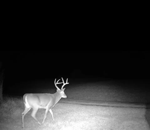 1962 McDaniel Rd RD - Photo 125