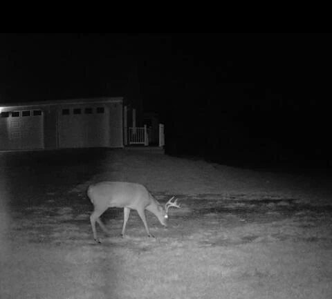 1962 McDaniel Rd RD - Photo 129