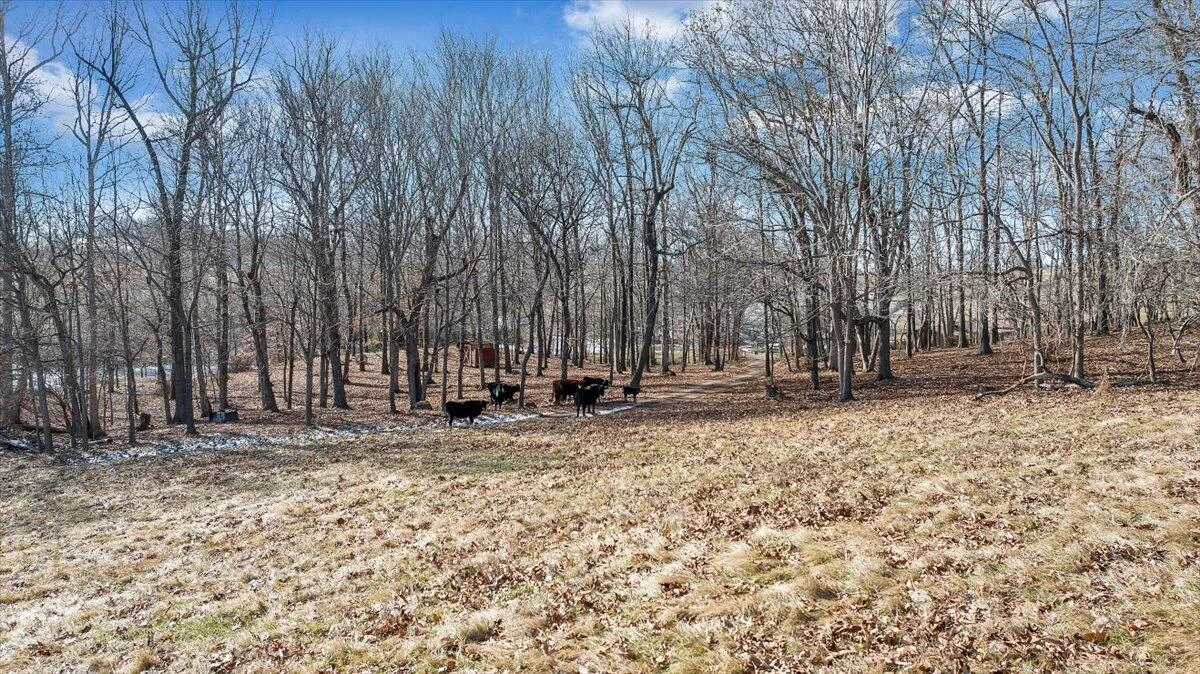 1859 Fort Chiswell RD - Photo 7