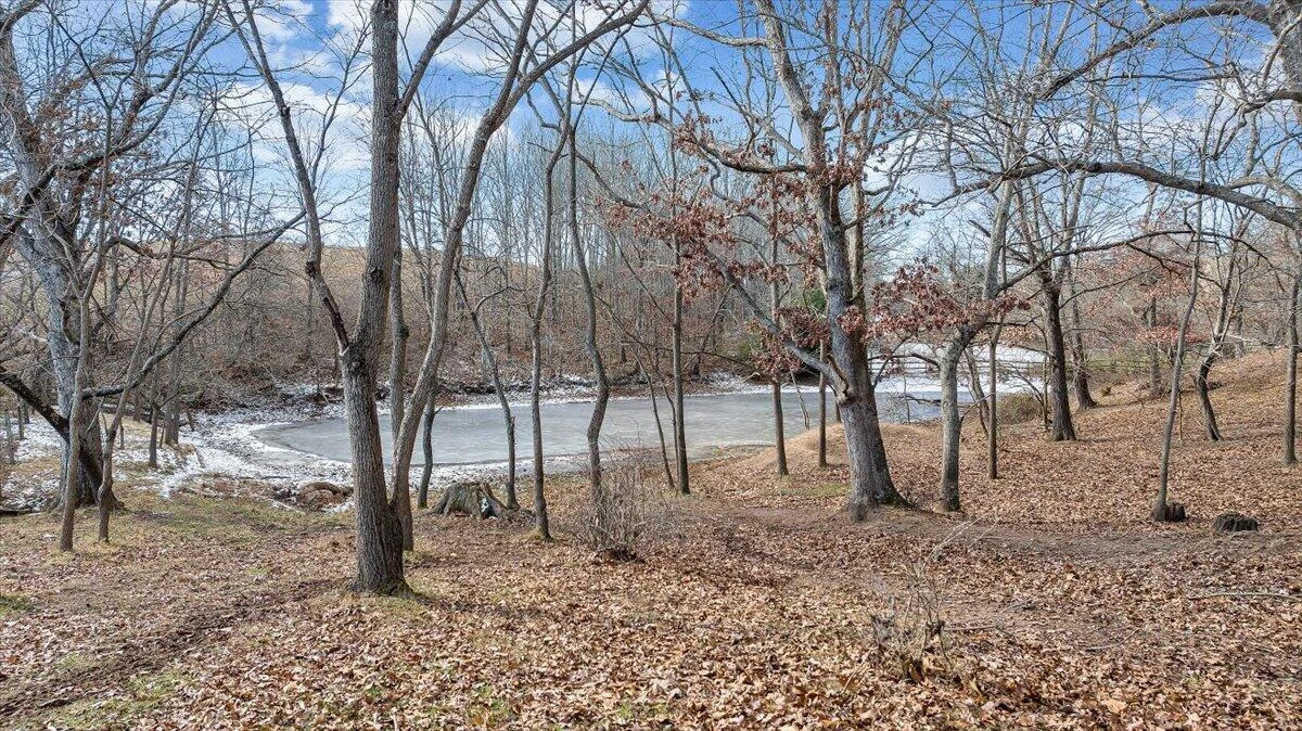 1859 Fort Chiswell RD - Photo 80