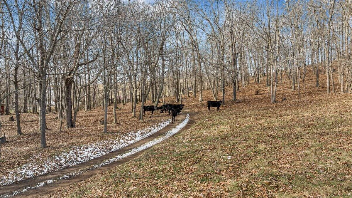 1859 Fort Chiswell RD - Photo 82