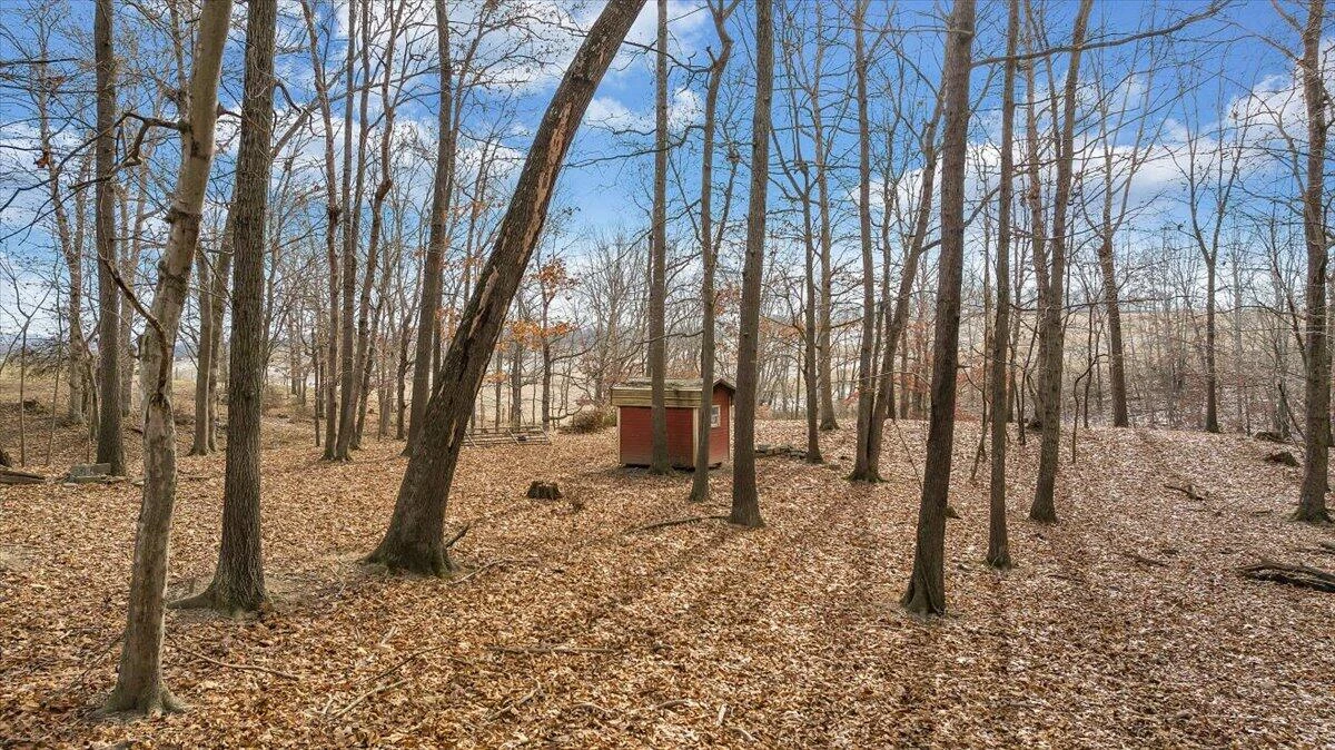 1859 Fort Chiswell RD - Photo 84