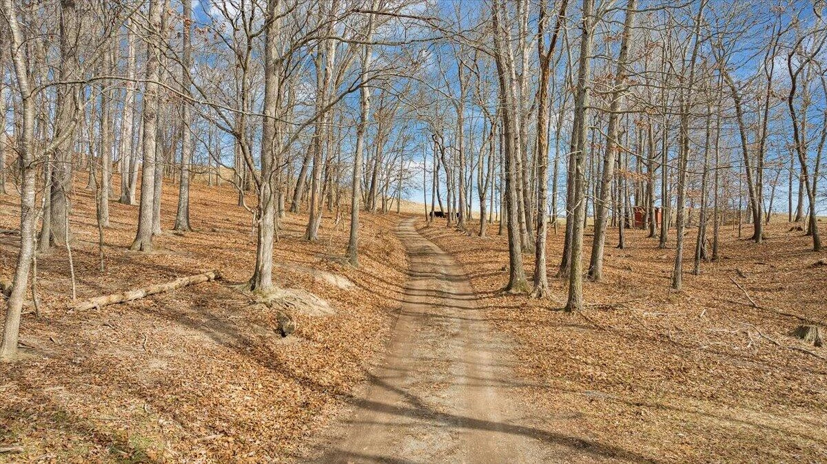 1859 Fort Chiswell RD - Photo 85
