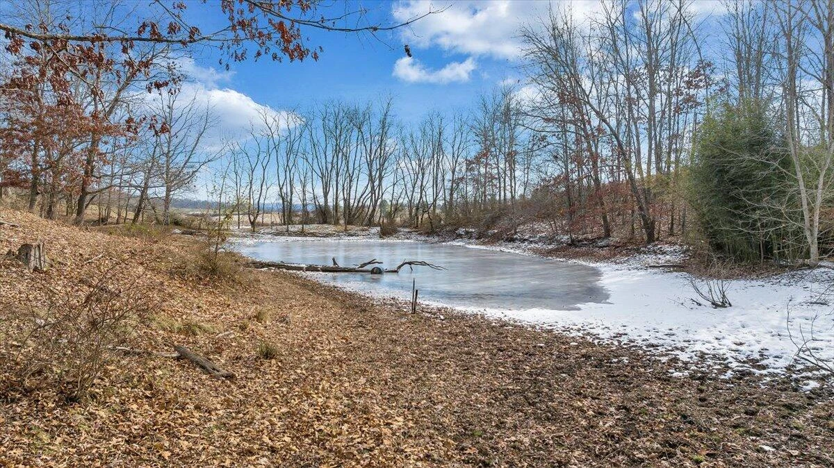 1859 Fort Chiswell RD - Photo 88
