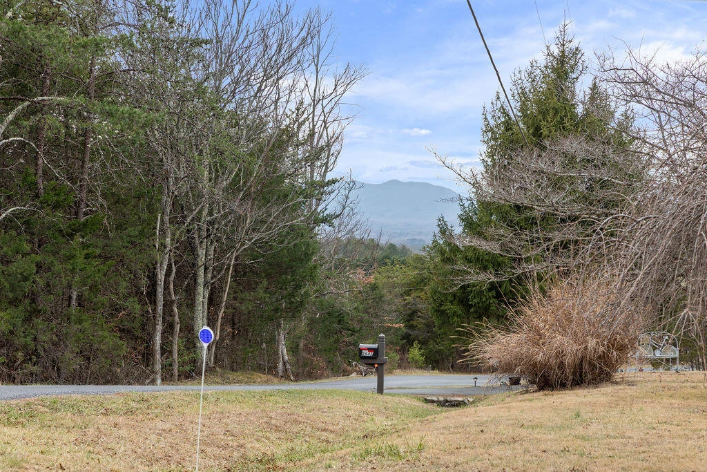 2883 Timber Ridge - Photo 39