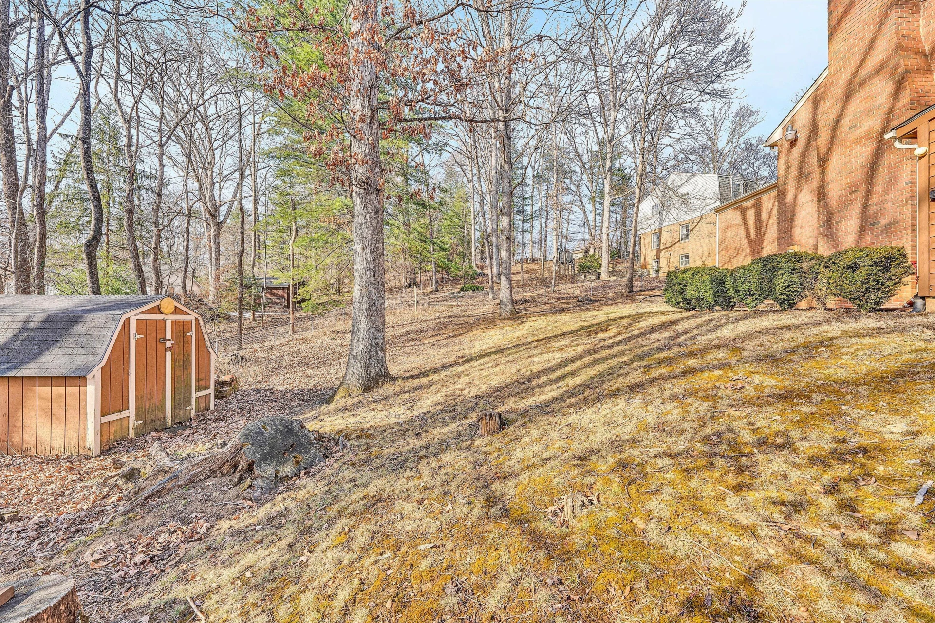3034 Tree Top LN - Photo 57