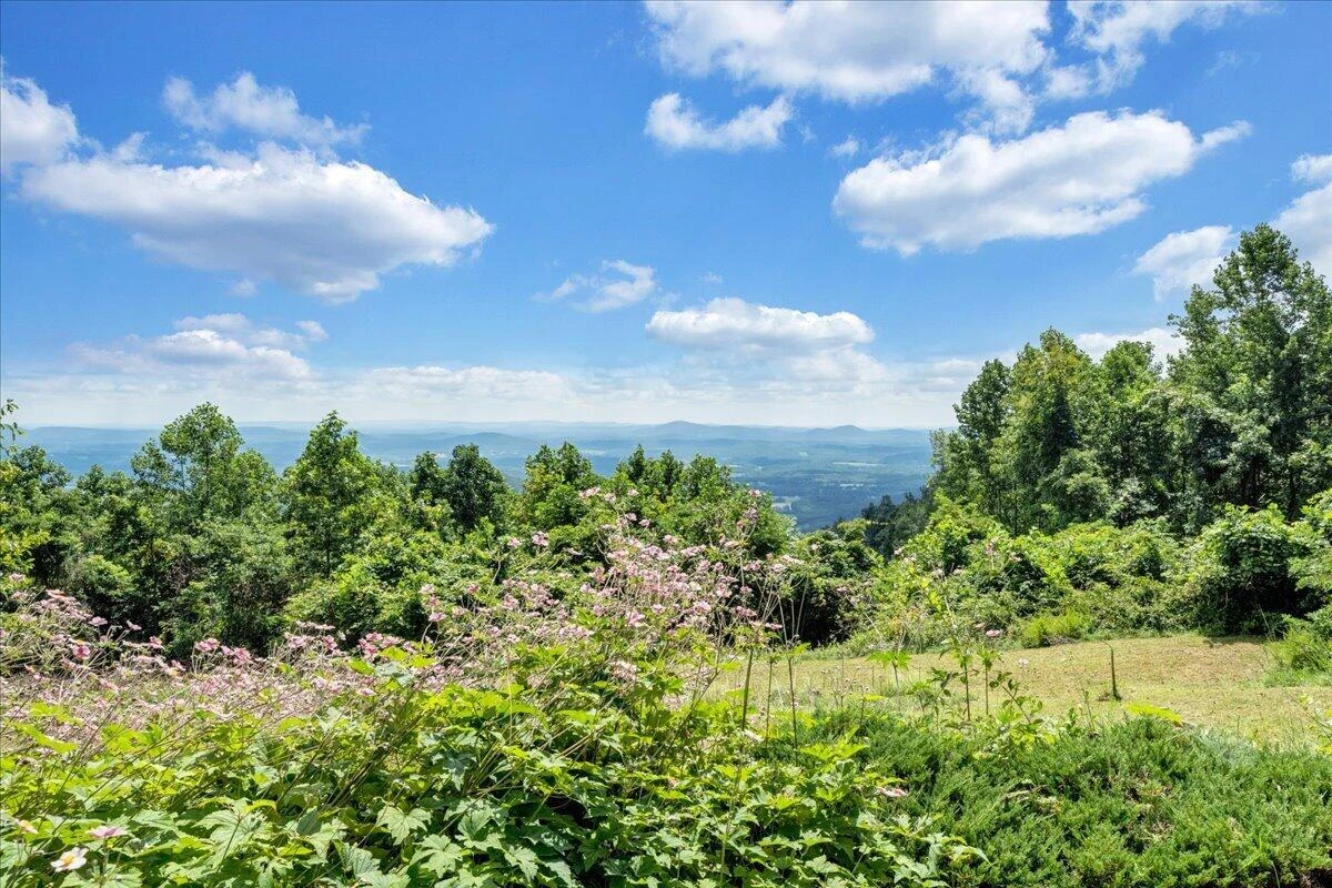 490 Lookout Ridge LN SE - Photo 59