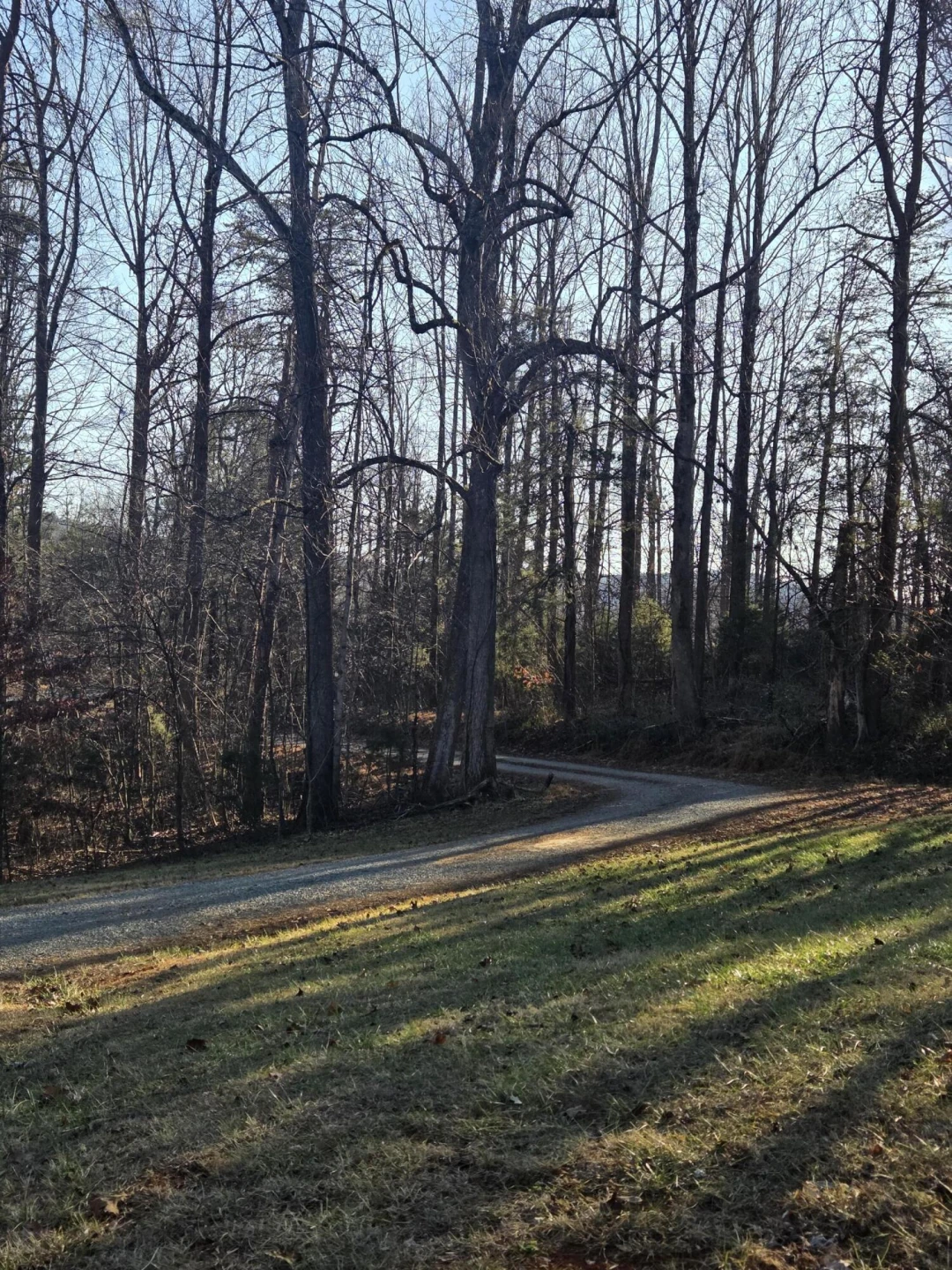 625 Jamestown RD - Photo 10