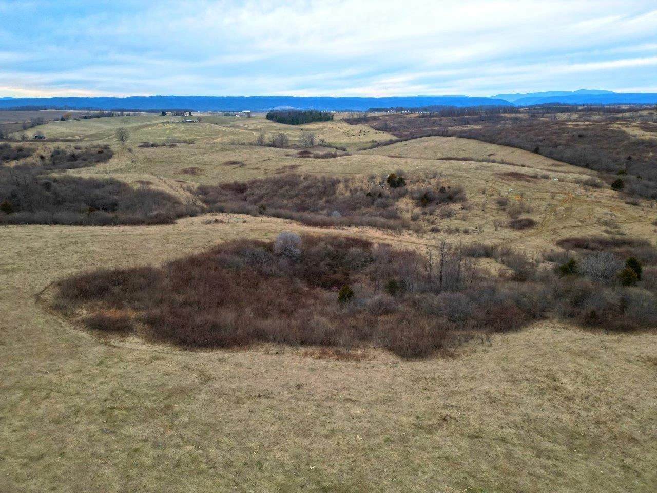0 Lee HWY - Photo 3