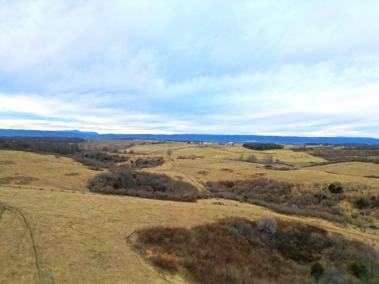 0 Lee HWY - Photo 6
