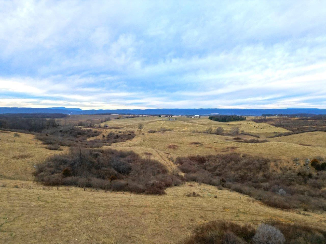 0 Lee HWY - Photo 7