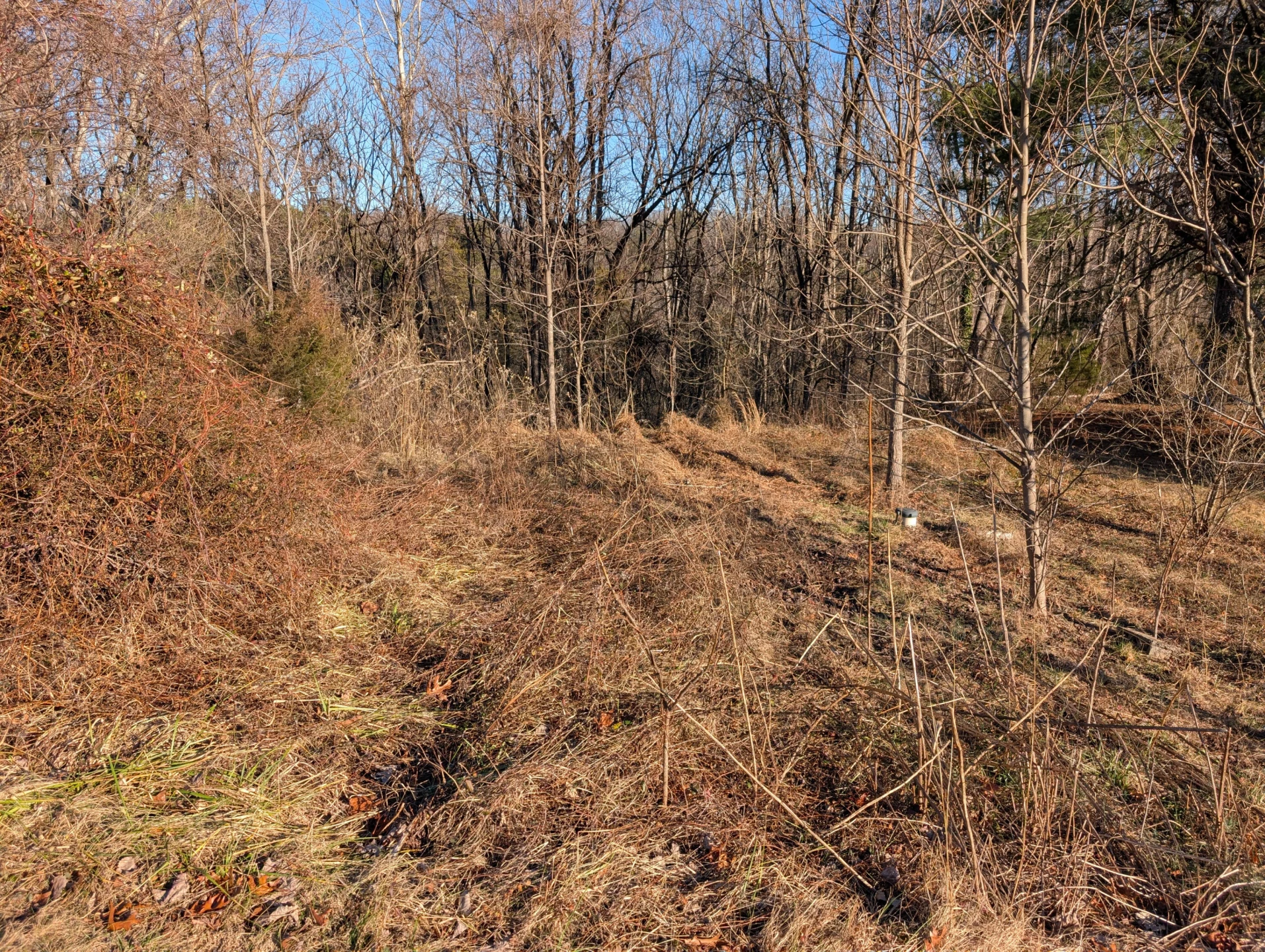 3548 Green Level RD - Photo 2
