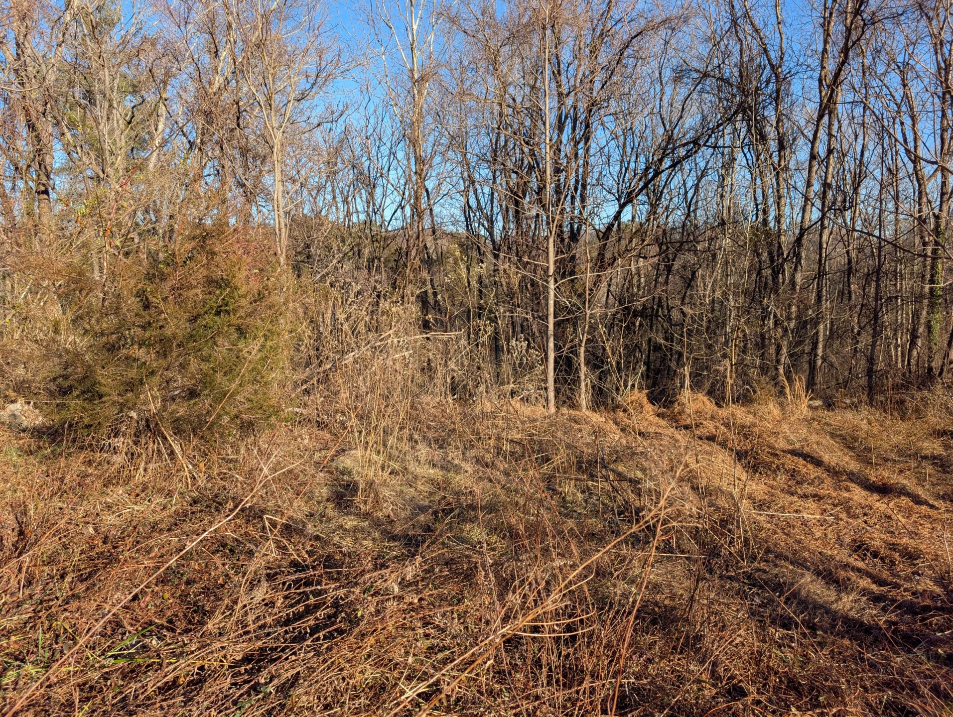3548 Green Level RD - Photo 3