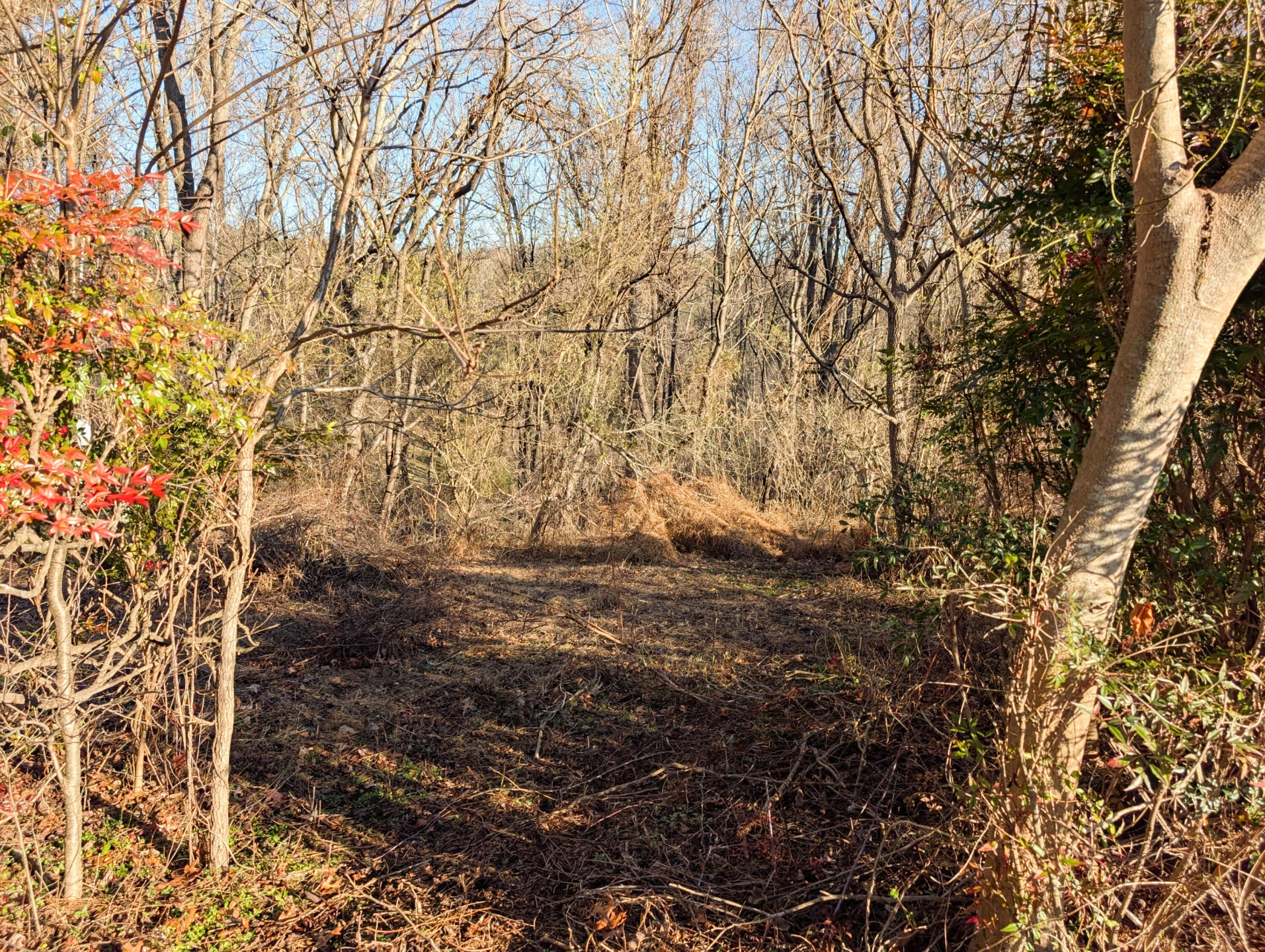 3548 Green Level RD - Photo 4