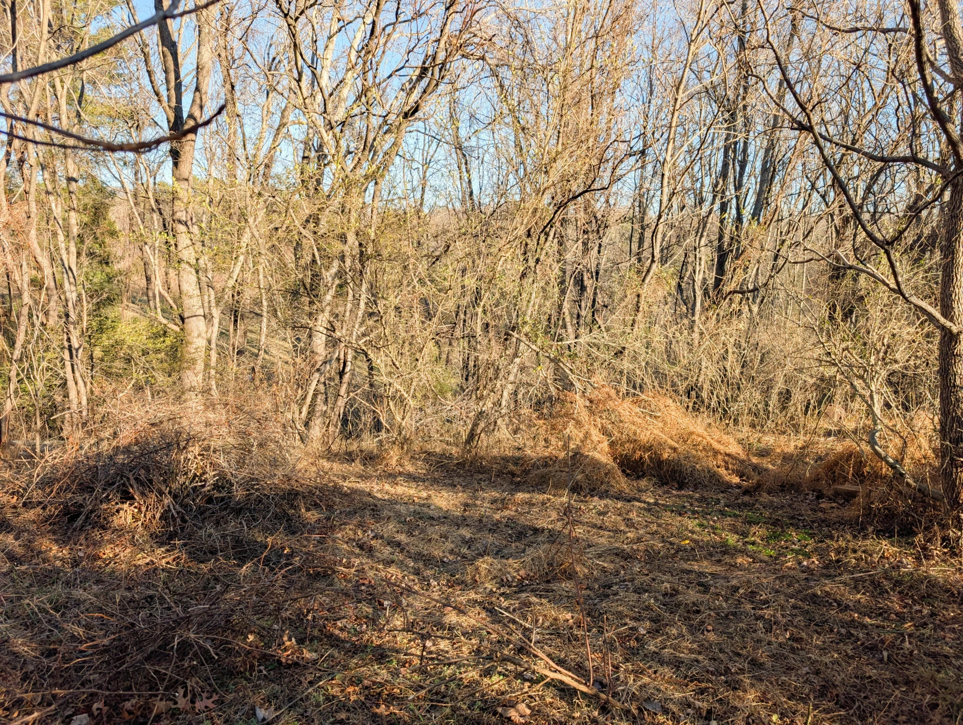 3548 Green Level RD - Photo 5