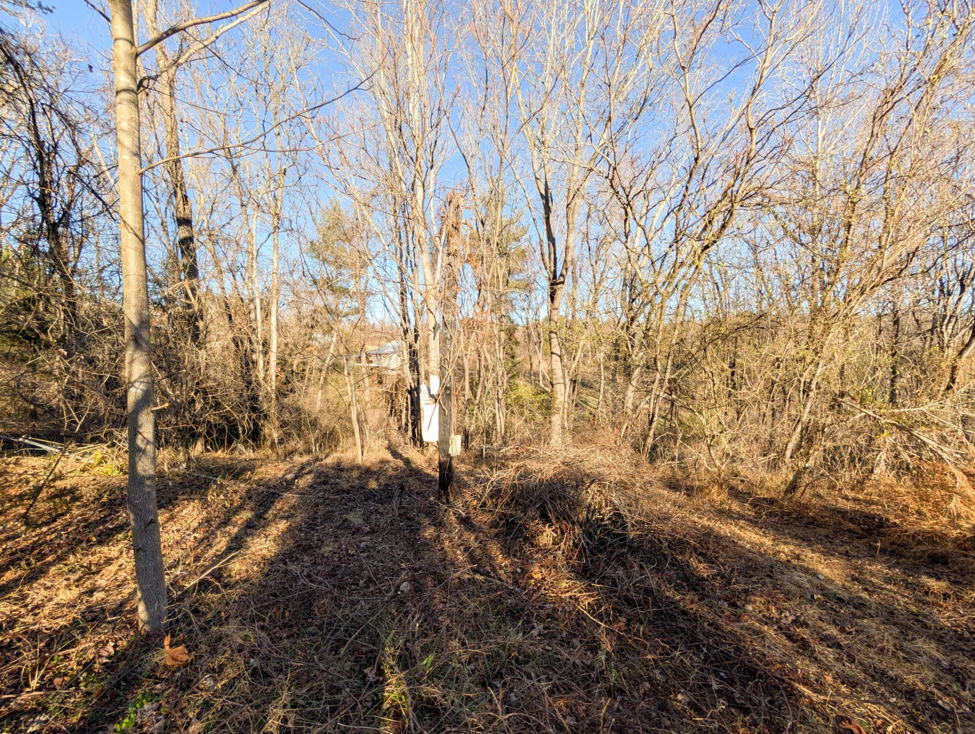 3548 Green Level RD - Photo 6