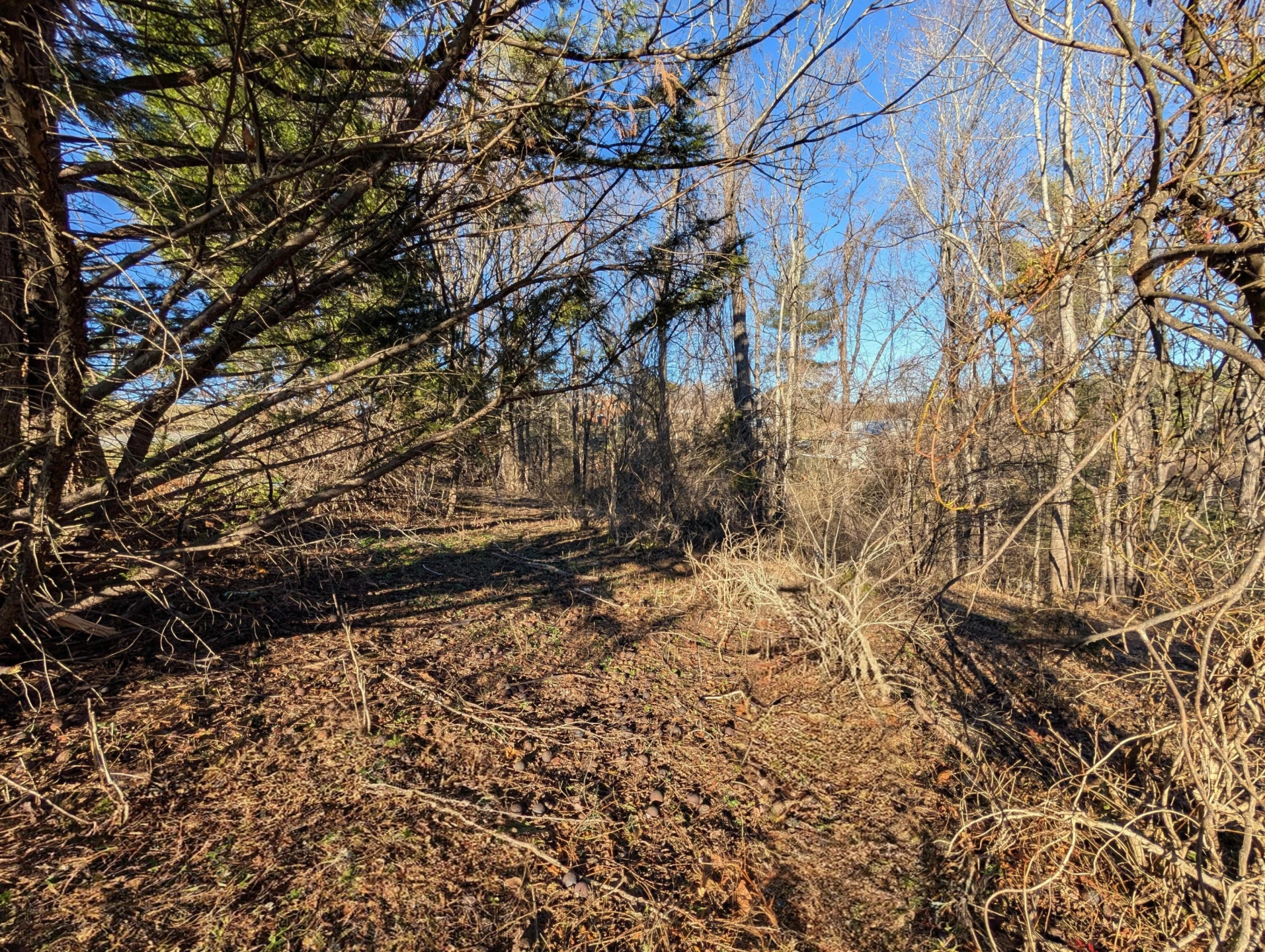3548 Green Level RD - Photo 7