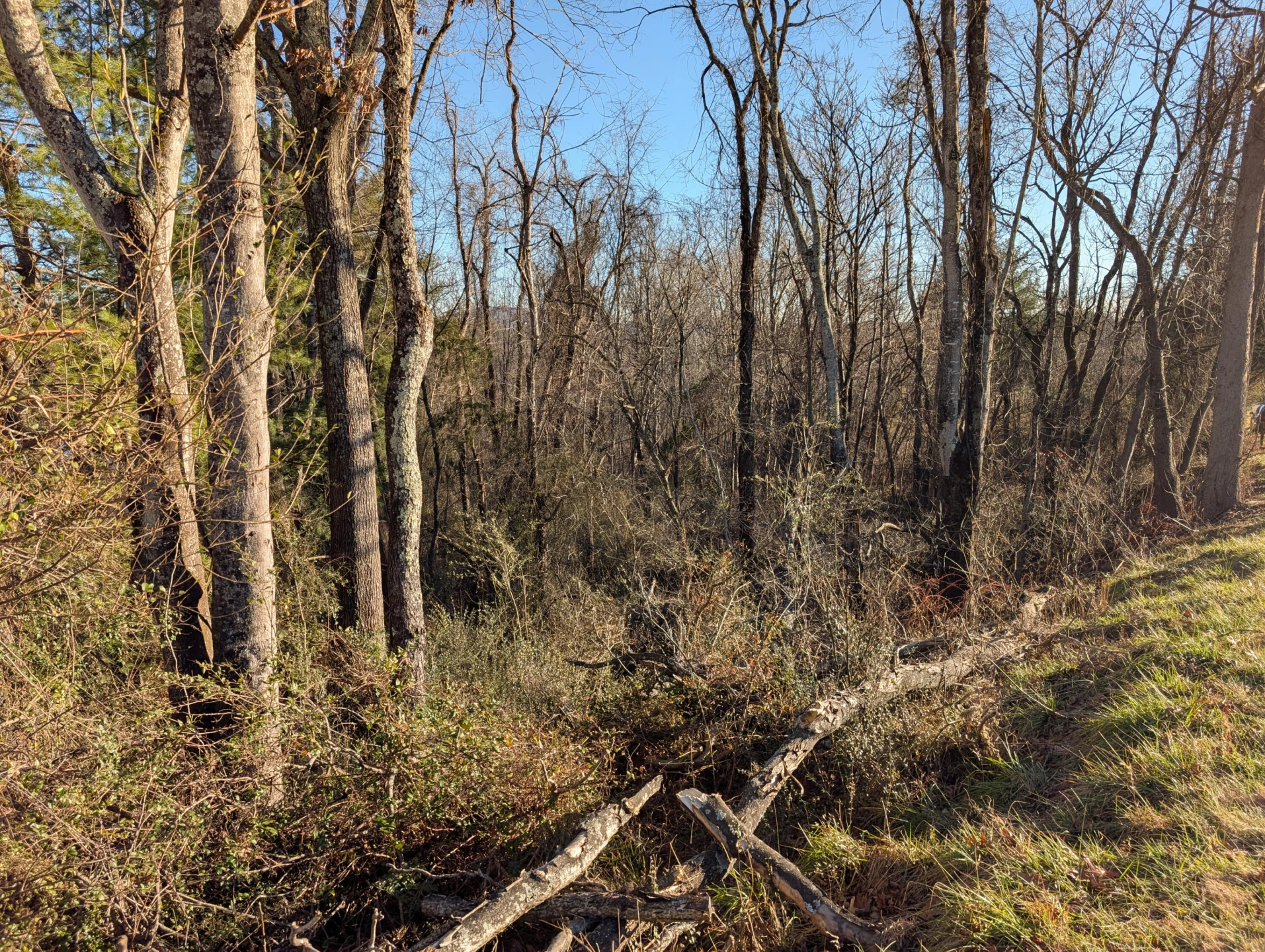 3548 Green Level RD - Photo 9