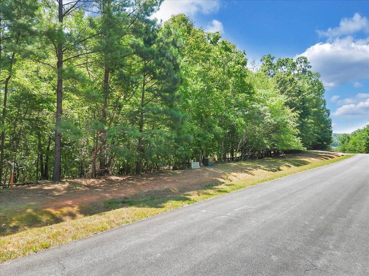 Lot 76 Runaway Bay Rd RD - Photo 5