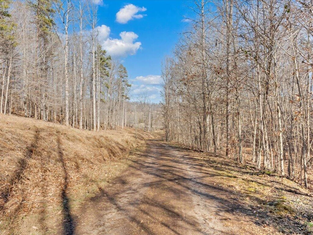 1511 Eggleston Falls RD - Photo 107