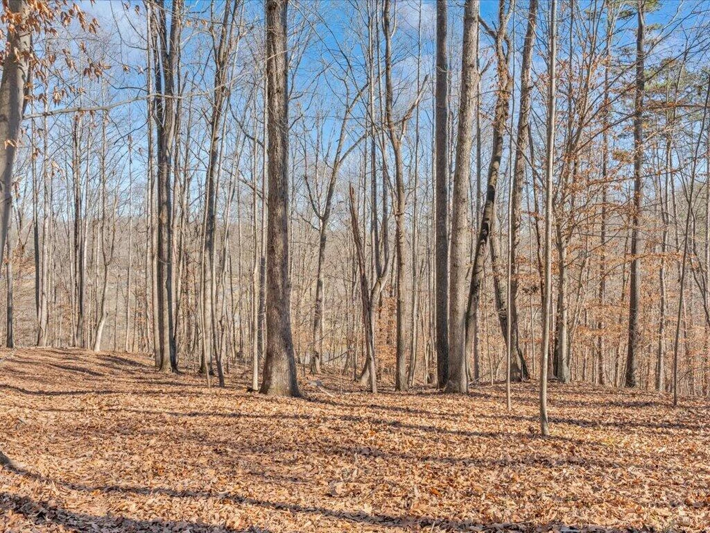 1511 Eggleston Falls RD - Photo 108