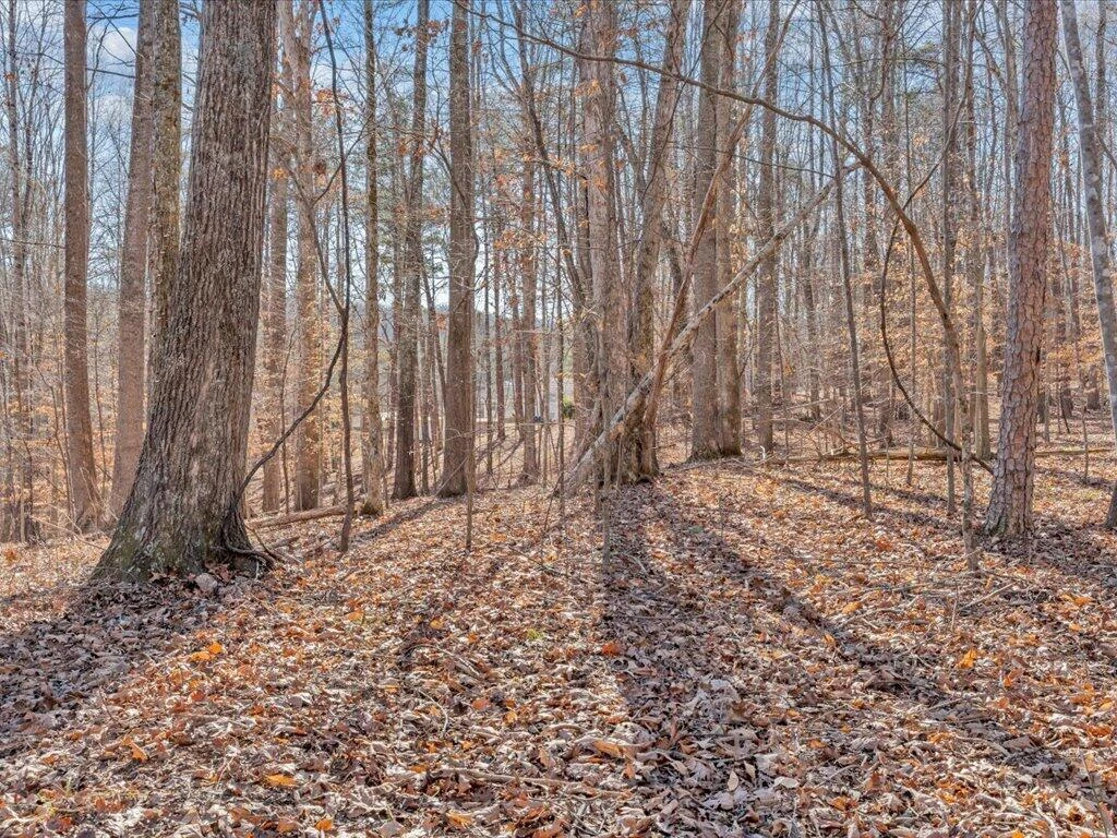 1511 Eggleston Falls RD - Photo 109