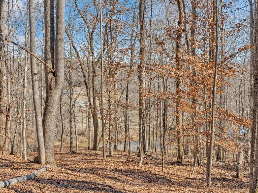 1511 Eggleston Falls RD - Photo 110