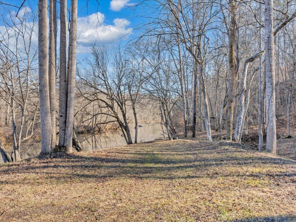1511 Eggleston Falls RD - Photo 112
