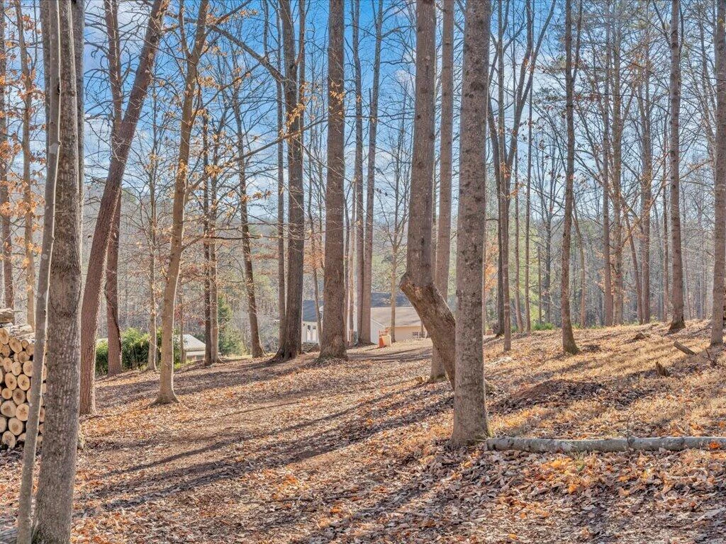 1511 Eggleston Falls RD - Photo 117