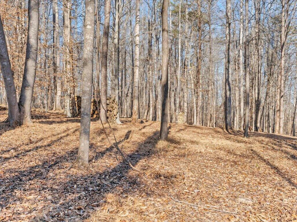1511 Eggleston Falls RD - Photo 119