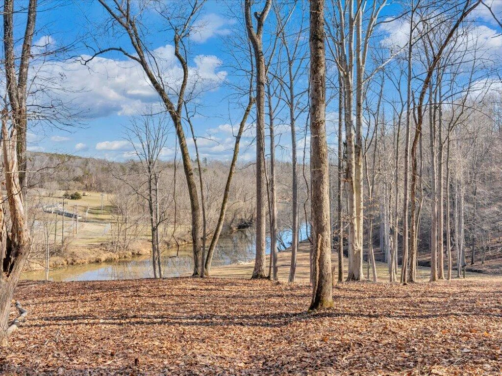 1511 Eggleston Falls RD - Photo 67