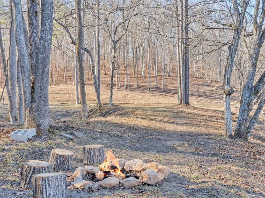 1511 Eggleston Falls RD - Photo 74