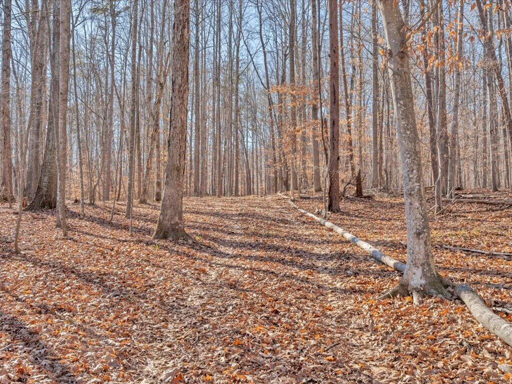 1511 Eggleston Falls RD - Photo 76