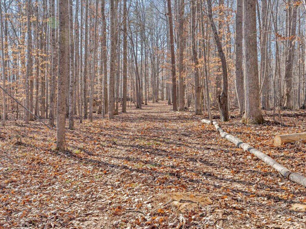 1511 Eggleston Falls RD - Photo 77