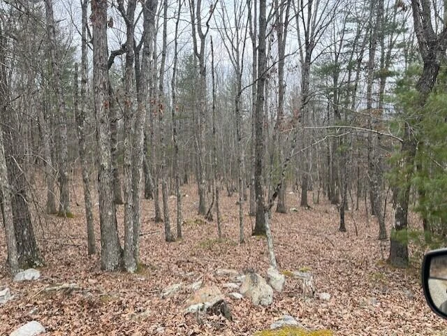 384 Easy Slope LN - Photo 21