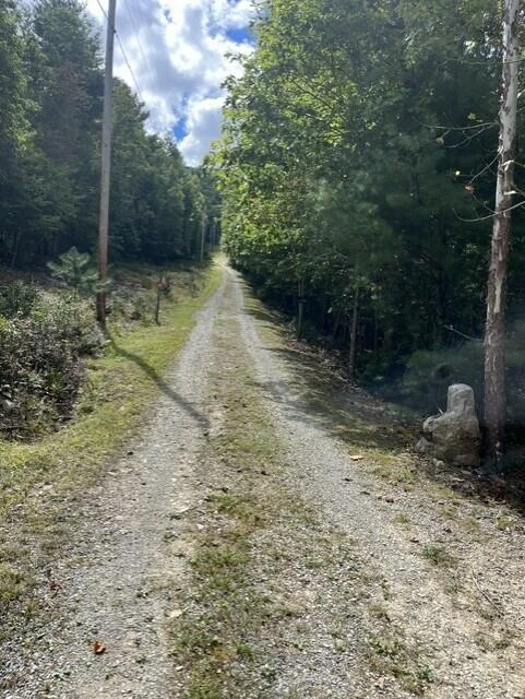 384 Easy Slope LN - Photo 22