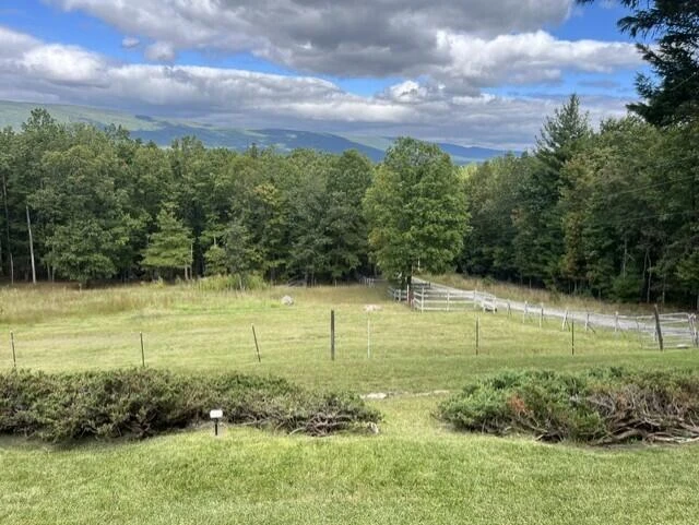384 Easy Slope LN - Photo 23