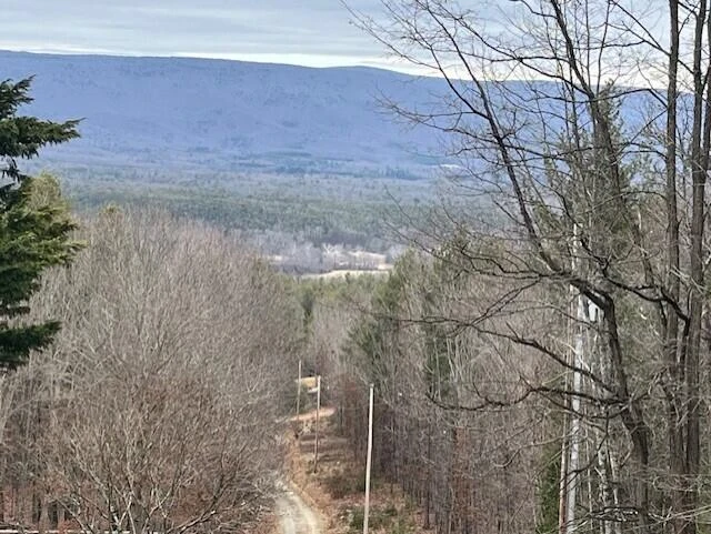 384 Easy Slope LN - Photo 9