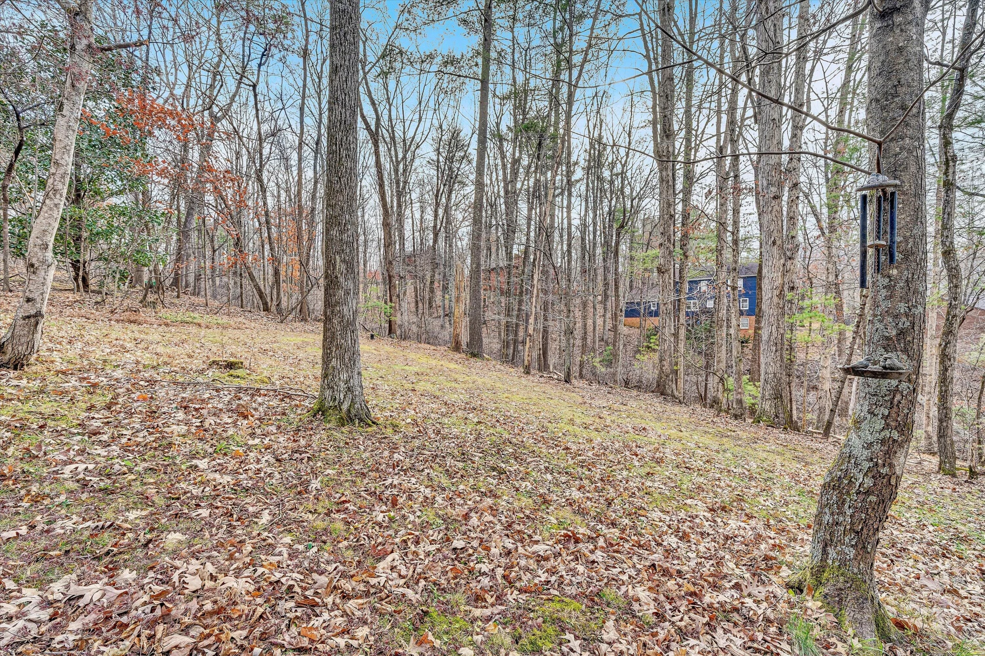 5504 South Roselawn RD - Photo 31