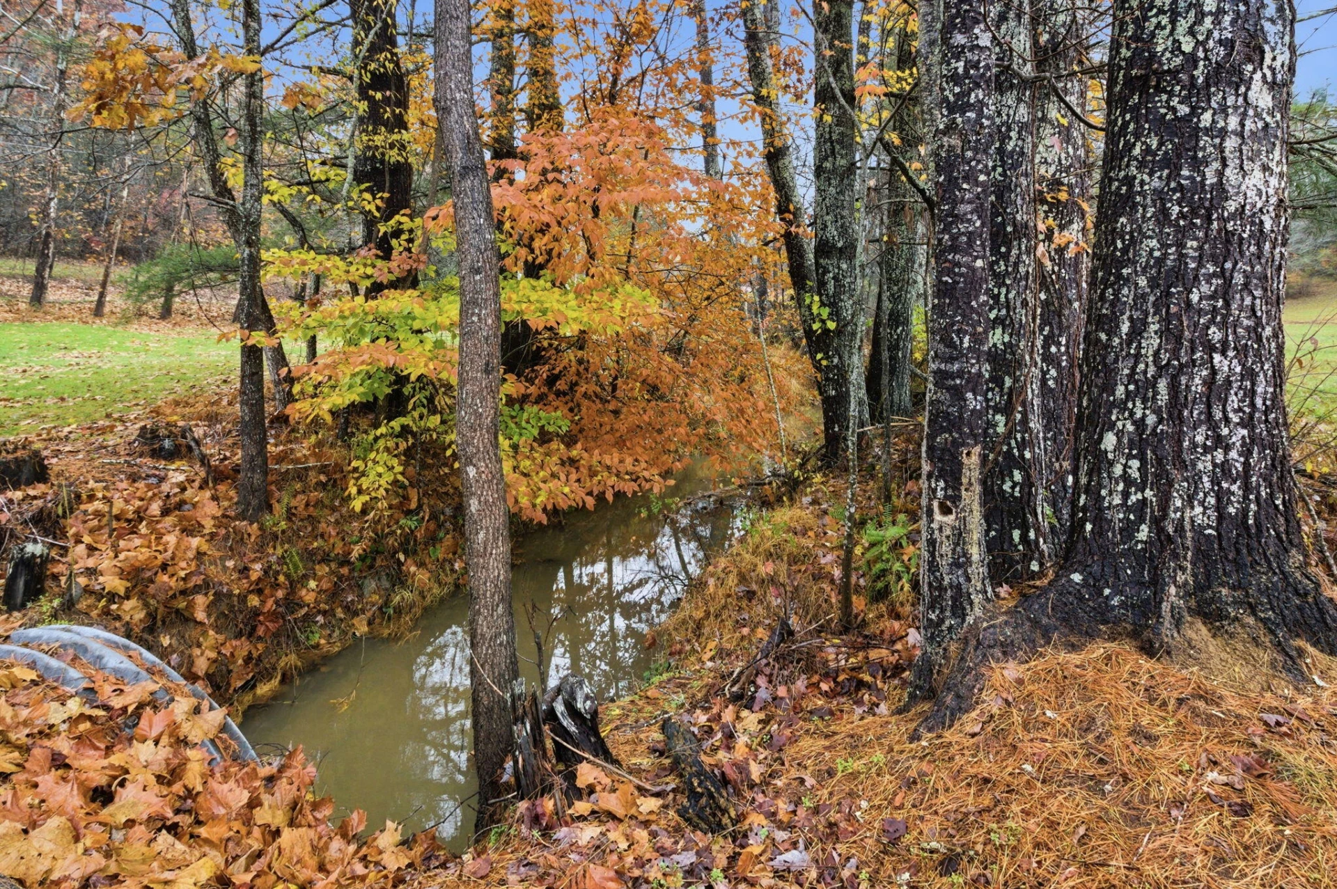 3928 Happy Hollow RD - Photo 39