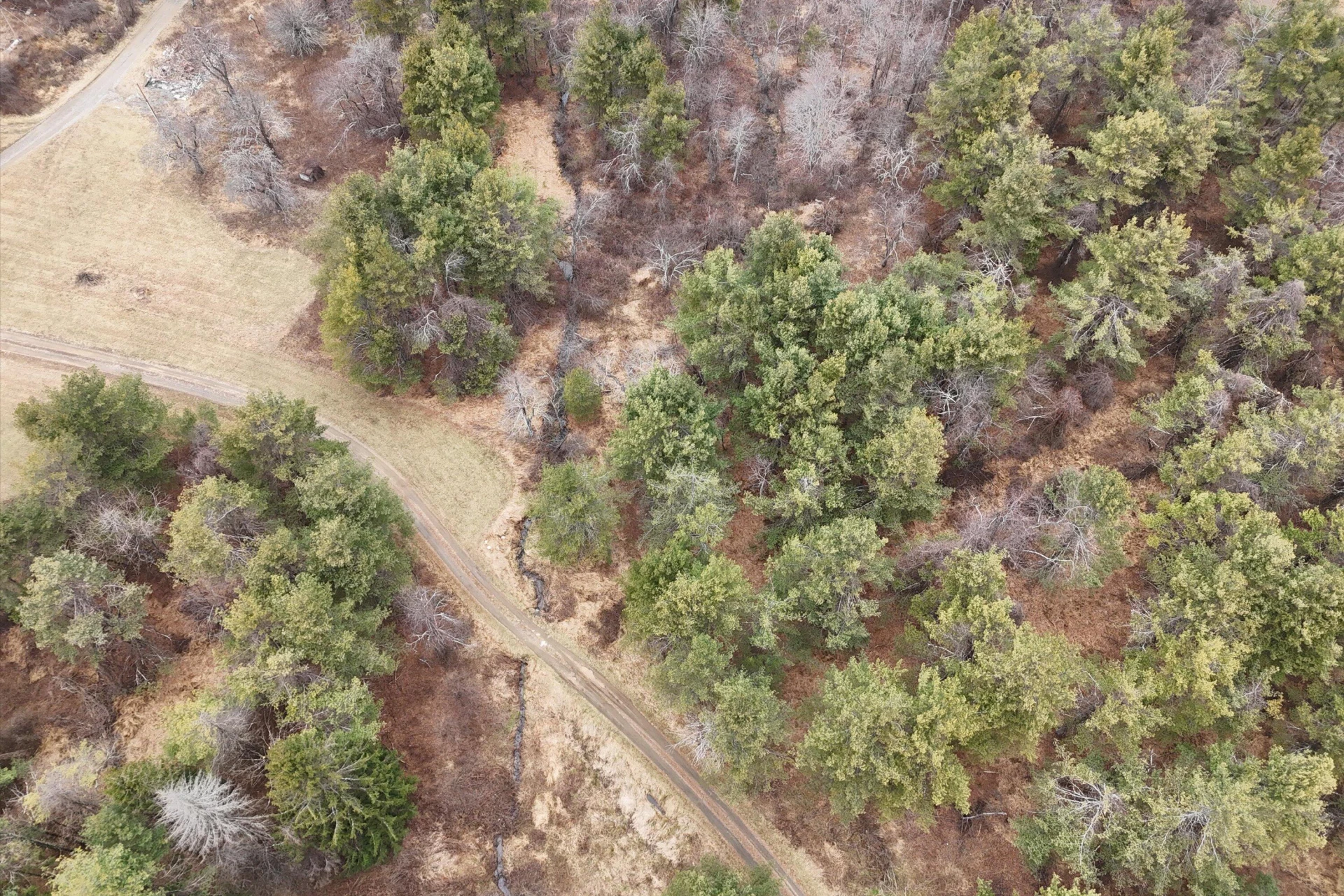 202 Panther DR SE - Photo 43