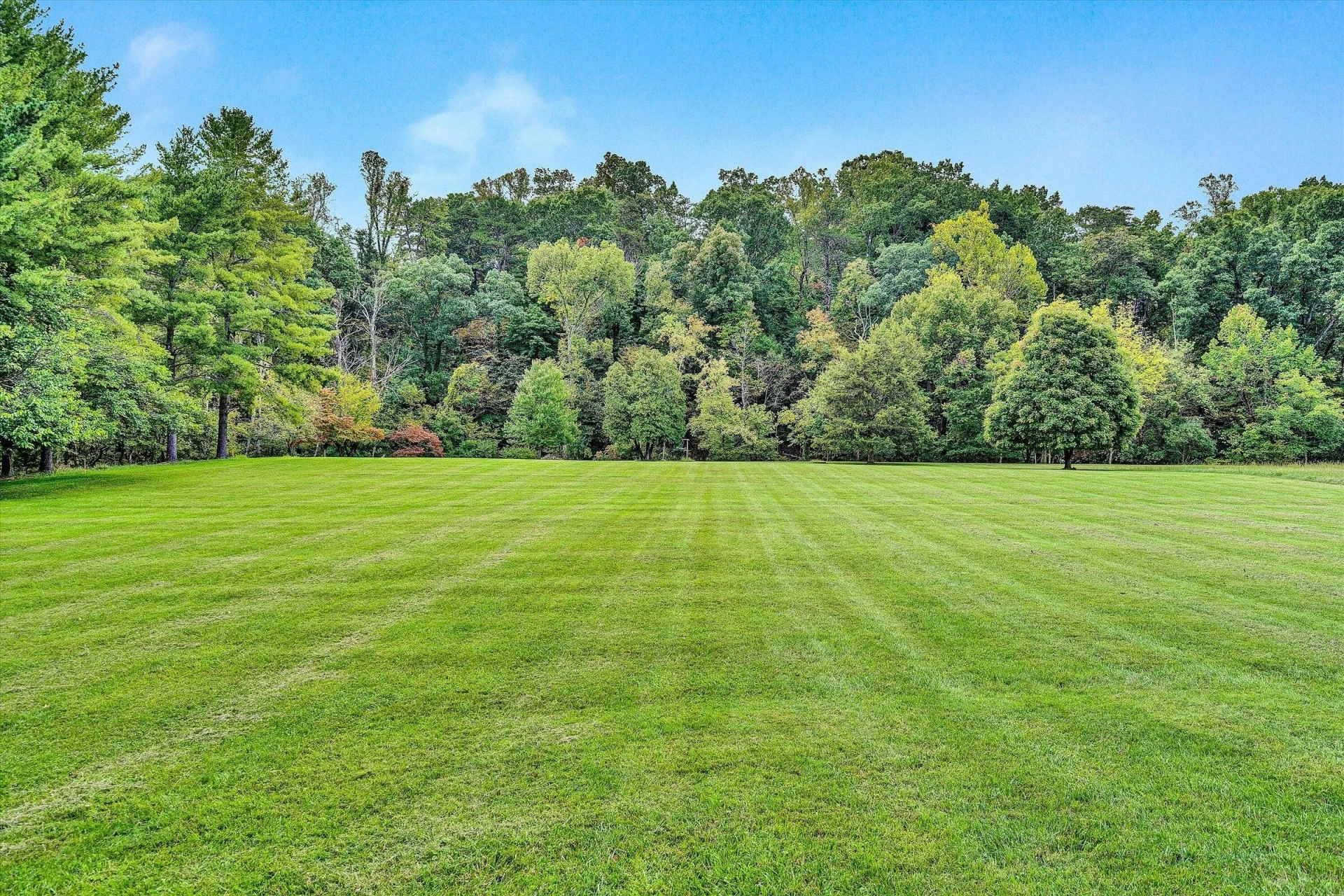 517 Boxley RD - Photo 78