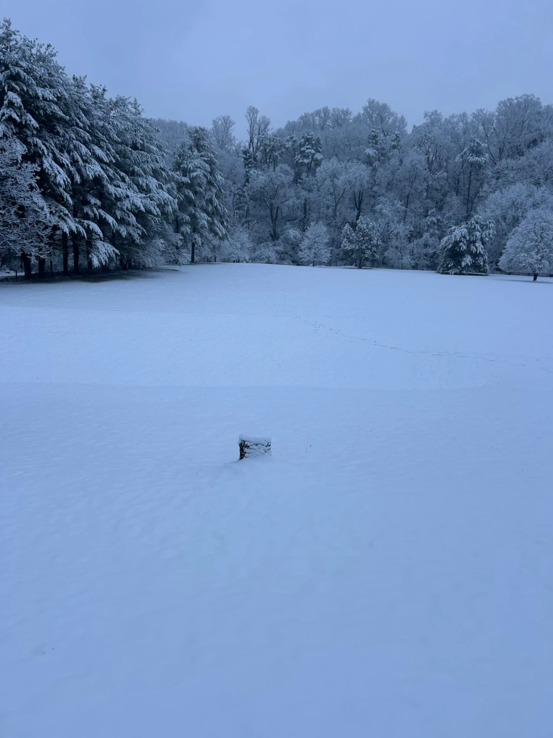 517 Boxley RD - Photo 80