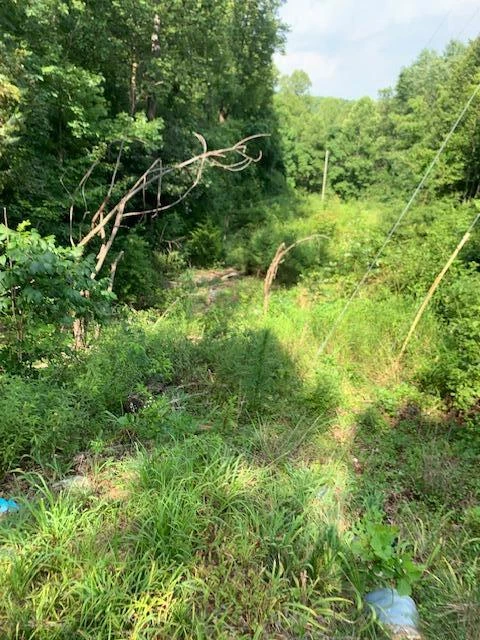 0 Hollyfield RD - Photo 11