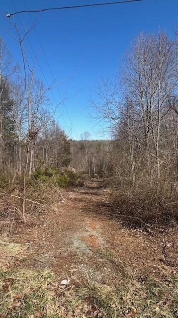 0 Hollyfield RD - Photo 3